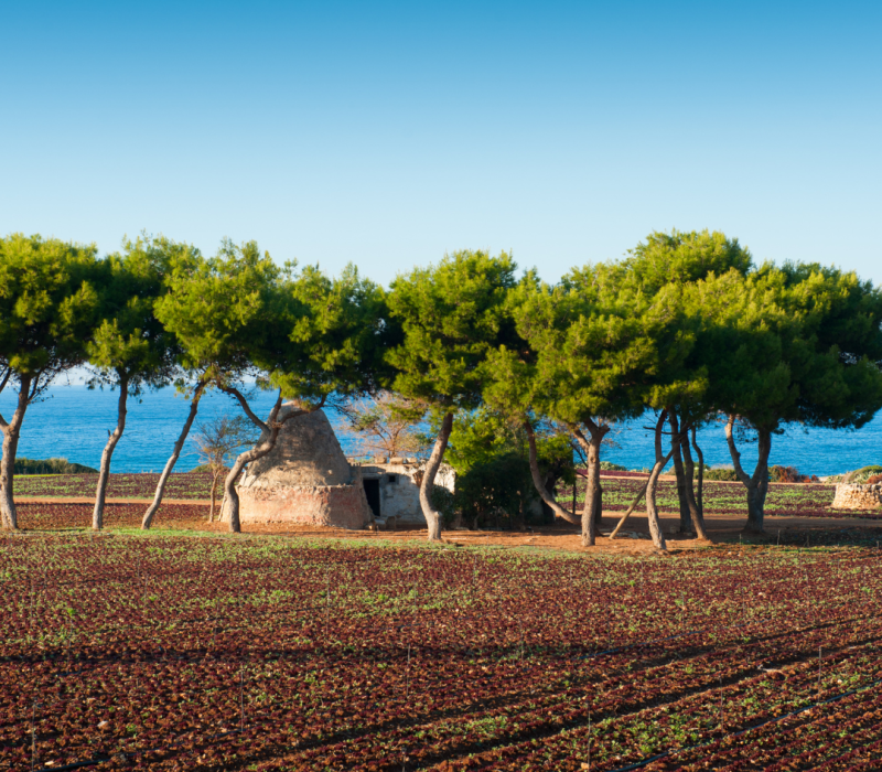 Senza titolo (1080 x 1080 px) (1)